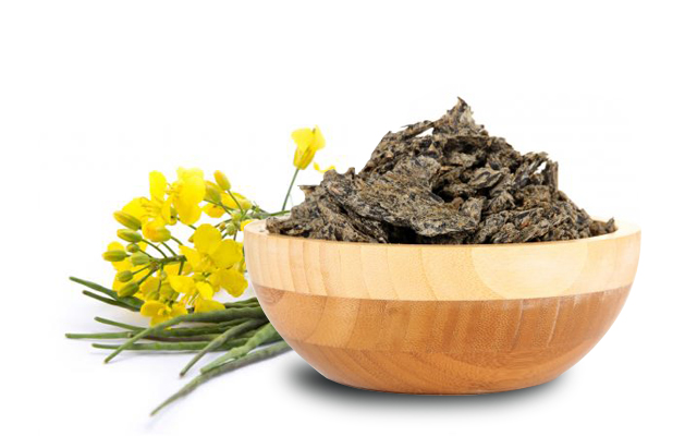 rapeseeds